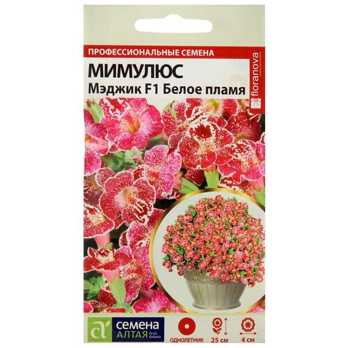 ������ ������ ������ ������ ����� ����� ������� ������ ����� �����, 10 �� ����