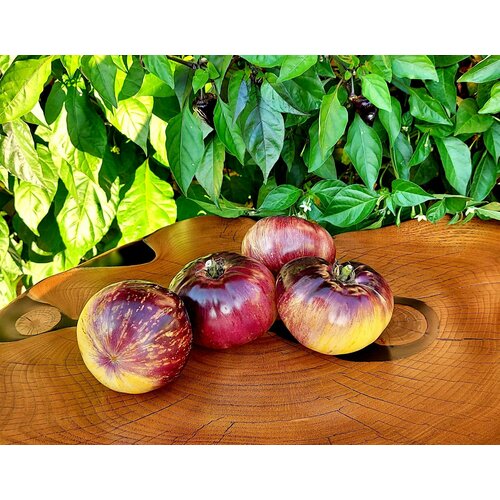 ������ ������ ������ ������ ��������� �������� (Solar Eclipse) / Seeds And Goods / � �������� zip-lock ��� ���������� 10 ����� ����