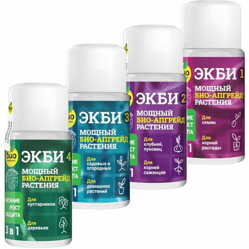 ������ ������ ���-�������� 