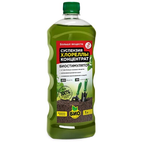 ������ ������ ��������� ���-�������� ��������� �������� ����������, 1 �, 981 �, 1 ��. ����