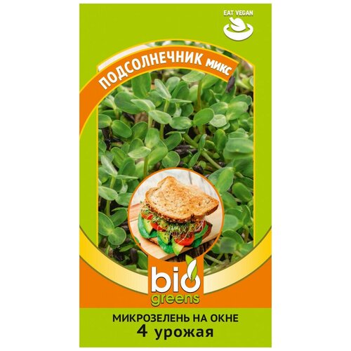 ������ ������ ������, ������, �����������, ������������, ����, 10 ����� ����