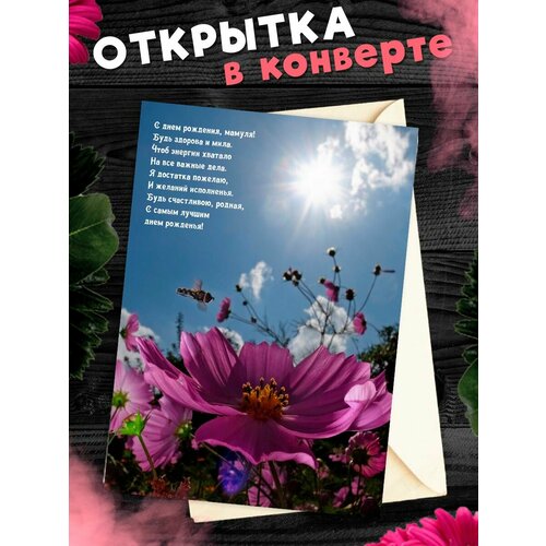 ������ ������ �������� �6 � �������� � ���� ��������, ����! ����