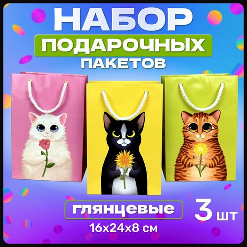 ������ ������ �������� ������ � ������� ���������� ���������� ��� ��������, ����� ������� ����������� �� ���� ��������, ����� ���, 8 �����, 23 �������, � ������ 3 �� ����