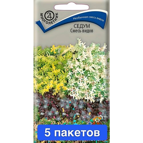 ������ ������ ������ ������ ����� 