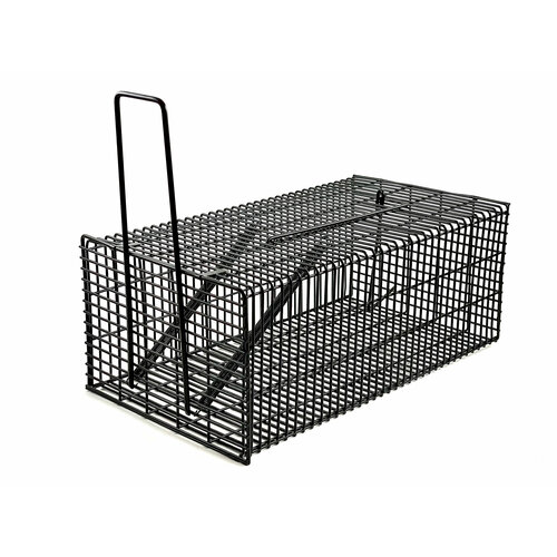 ������ ������ ��������� ��������, �������� �� ������� ������������ ������������� ����� 13�19�32 �� ����