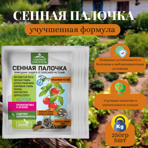 ������ ������ ������ ������� 50�� / 5��. ������� ��������� ����