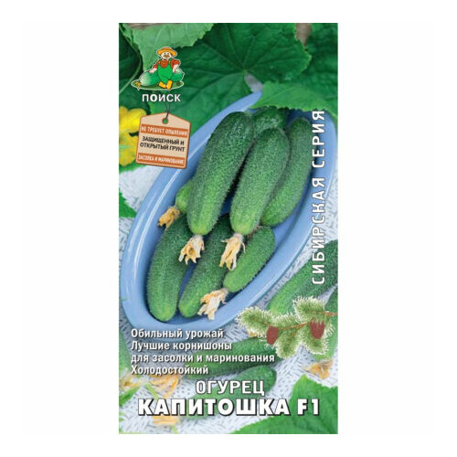 ������ ������ ������ ������ ��������� F1 12�� ������������������ ������ (�����) ����