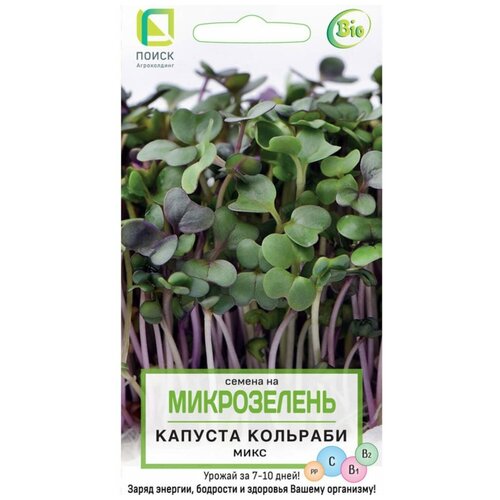 ������ ������ ������ ������� �������� �����������, 5 � ����