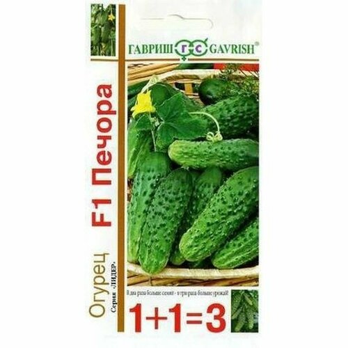 ������ ������ ������ ������ ������ F1 ����, �����������, (������) 20�� ���1+1 ����