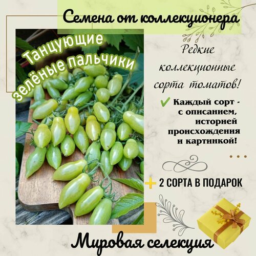 ������ ������ ����� 