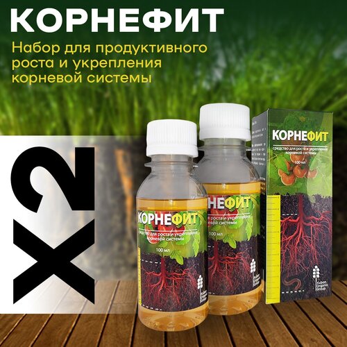 ������ ������ ��������� ��� �������� �������, 2 ��, 200 �� ����