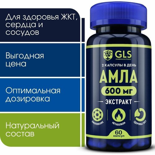 ������ ������ ���� 600�� (������� ��������), �������� / ���� ��� �������� ���, 60 ������ ����