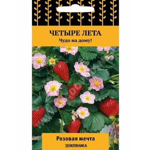 ������ ������ ��������� 