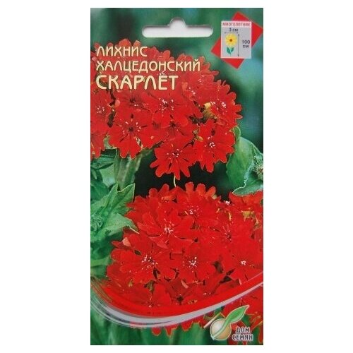 ������ ������ ������ ����������� �������, ������������, 115 ����� ����