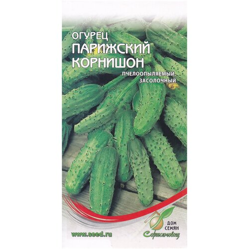 ������ ������ ������ ��������� ��������, 10 ����� ����