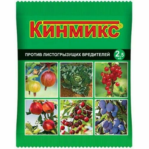 ������ ������ ������� 2,5�� (���� ���������) ����