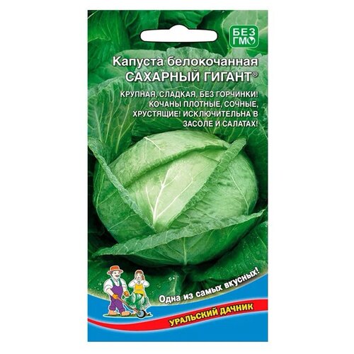 ������ ������ ������ ��������� ������ ������� ������������ �������� ������, 0,3 � ����