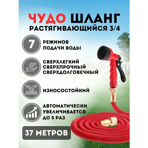 ������ ������ ����� 3/4 ������� ���������� ��������������� ����