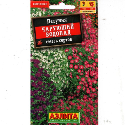 ������ ������ ������� 