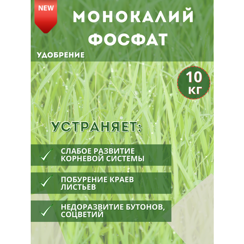 ������ ������ ��������� ���������������, 10�� ����