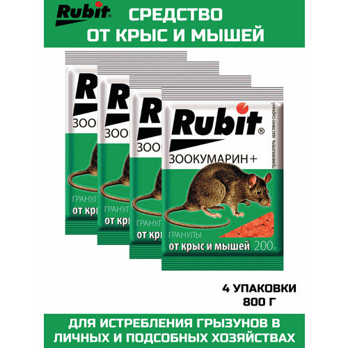  Rubit_    ,    +_4 .   -     , -,   