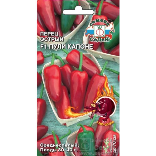 ������ ������ ������ ����� ������ ���� ������ F1 6�� (�����) ����