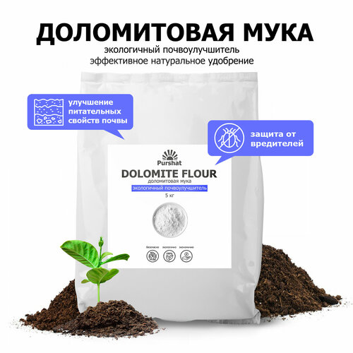 ������ ������ ����������� ���� ������ 5 �� � ��������� ���������� ����� ��� �������� �������� ����