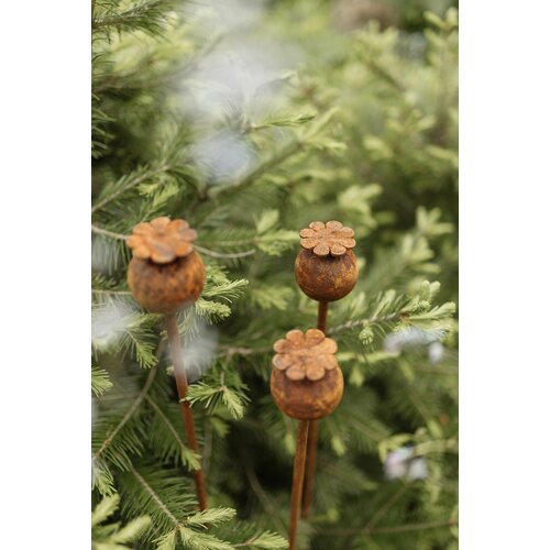 ������ ������ ������� ����� ���� ��� ���� 4-100 ����