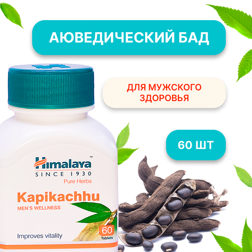 ������ ������ ������������� ������� ������� Himalaya Kapikachhu ��� �������� ��������, 60 �������� ����