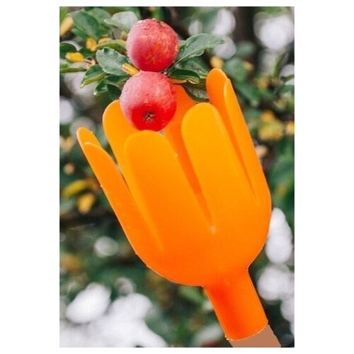 ������ ������ ������������ ��� ����� �������, ������������, �������, ����� �������, ���������, ������������, �������������� ��� ����� ���� ����