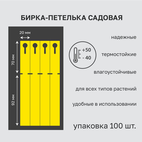      20x162 ( 70.) 100    -     , -,   