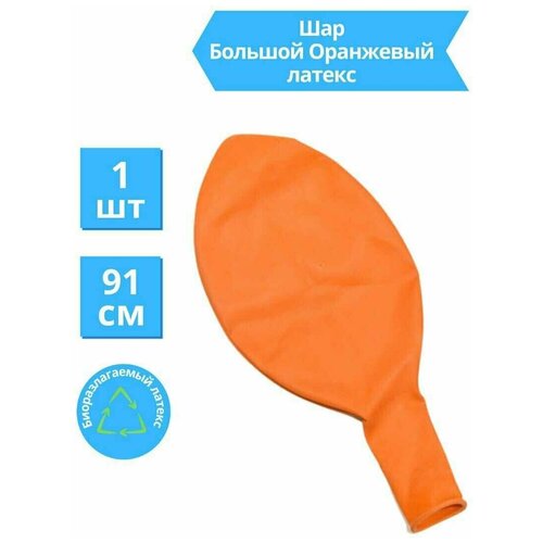 ������ ������ ��� ������ ��������� 36 �/91 �� ����