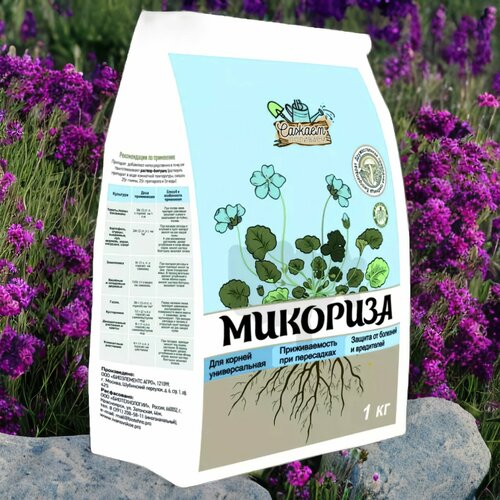 ������ ������ �������� ������� ����� 1�� / 1��. ������ �������� ����