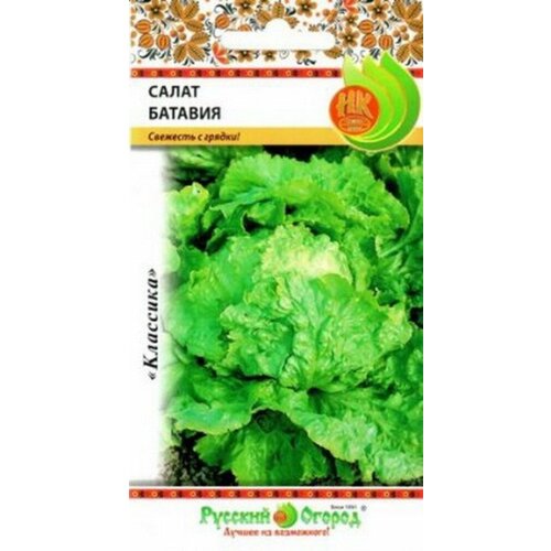 ������ ������ ������ ����� ������� �������� 1� ������ (������� ������) ����