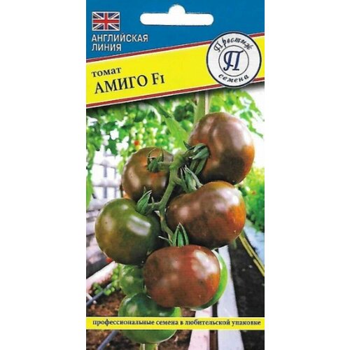 ������ ������ ������ ����� ����� F1 3�� ����� ������ (�������) ����