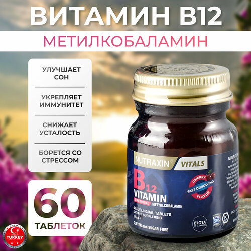   B12 12    -     , -,   