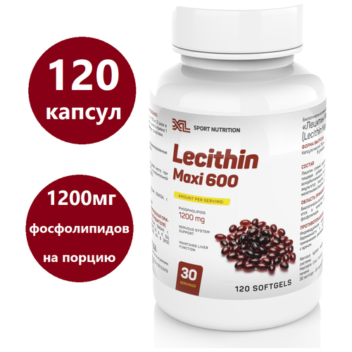    XL Lecithin Maxi, 120 ,     -     , -,   