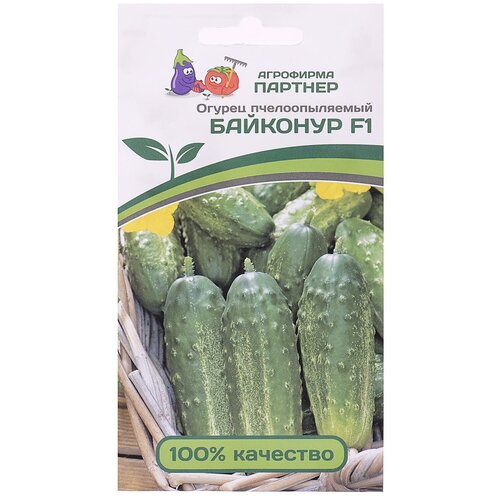 ������ ������ ������ ������ 