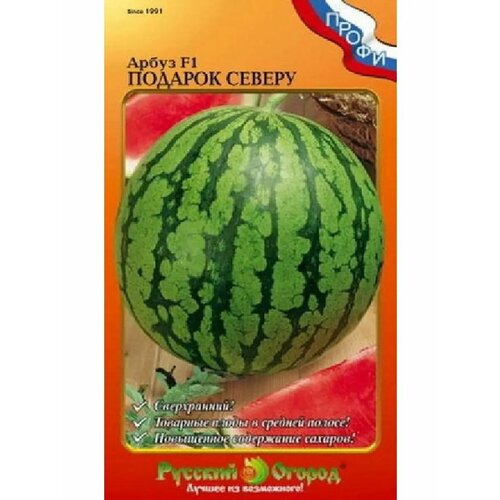 ������ ������ ����� 