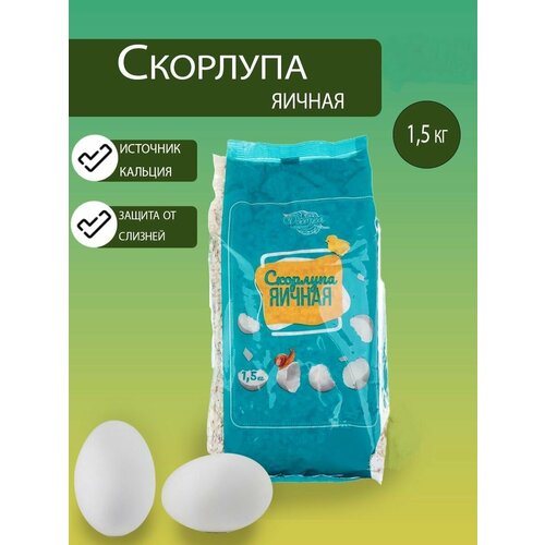 ������ ������ ��������� ������������ �������� ������ 1,5��, ��������������� � ������������ ����