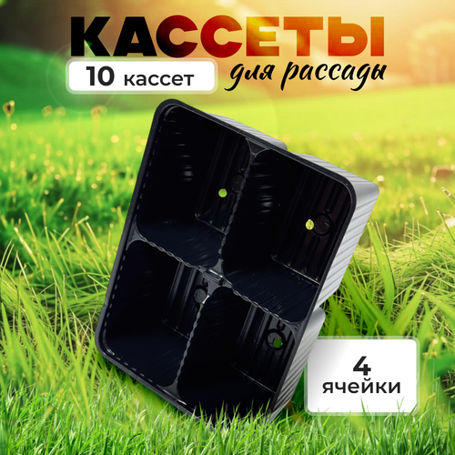 ������ ������ ������� ��� ������� - 4 ������, ����� 10 ���� ����