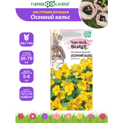 ������ ������ ������ ��������� ������� ����� - ����� �������� ������ 1 ��. ����