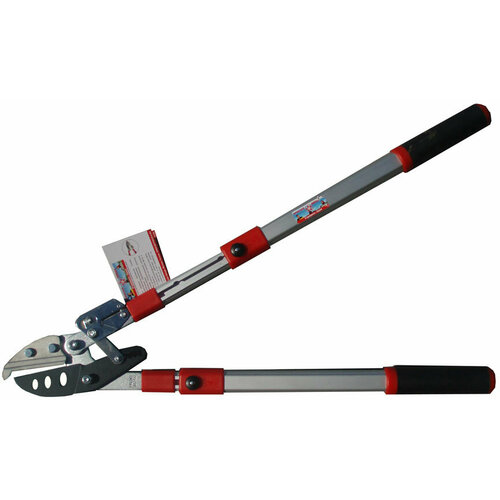 ������ ������ ���� 