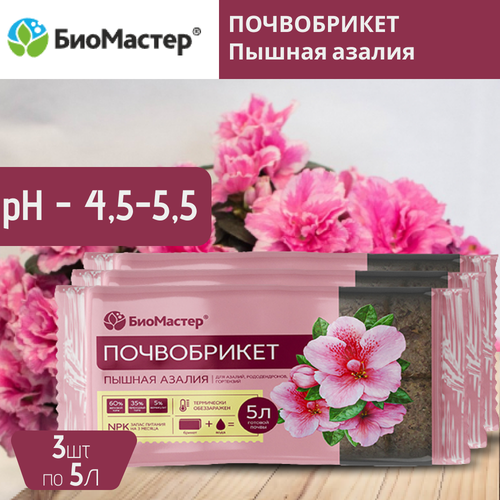 ������ ������ �������� ����������� ������ ������, ��������� 5 �, 3 ����� ����