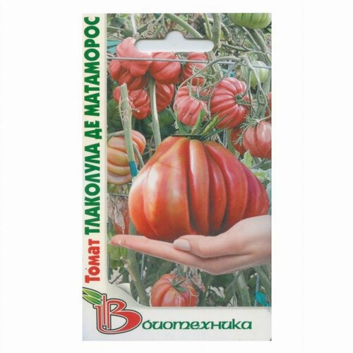 ������ ������ ������ ����� ��������� �� ��������� 10�� ��� (����������) ����