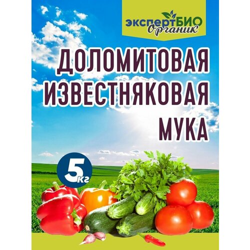 ������ ������ ��������� 