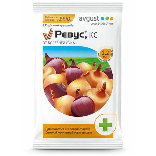 ������ ������ Avgust �������� �� �������� ���� �����, ��, 1.2 ��, 1.2 � ����