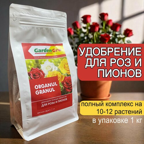 ������ ������ ��������� 