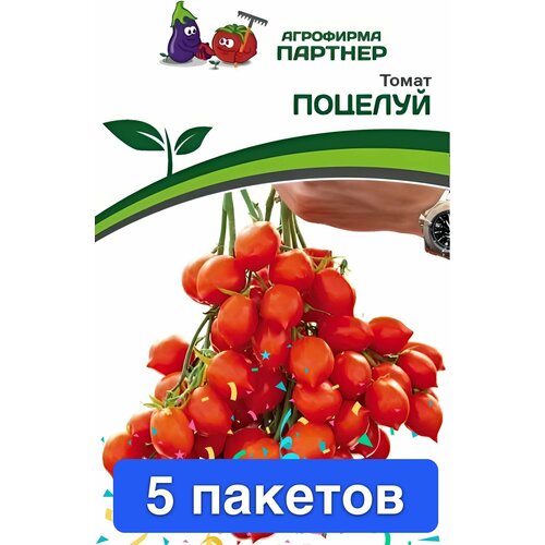 ������ ������ ������ ������ ��������� ������� 