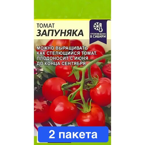 ������ ������ ������ ������ ������ ����� 